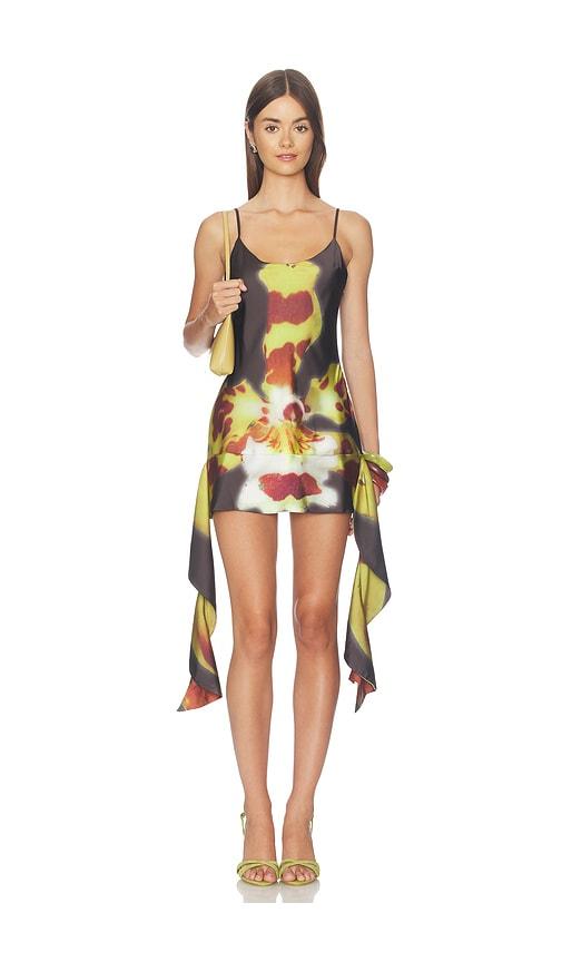 1xblue orchid mini dress in multi. - size l (also in s)