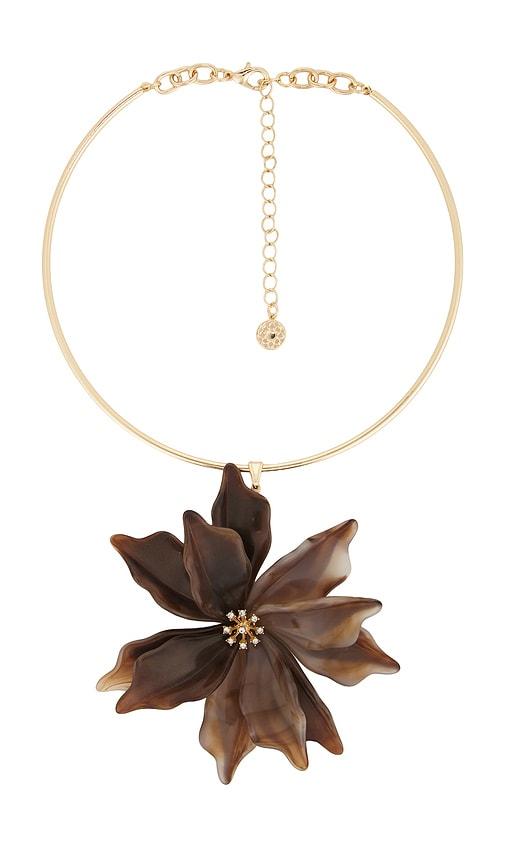 8 other reasons bloom acrylic choker in brown.