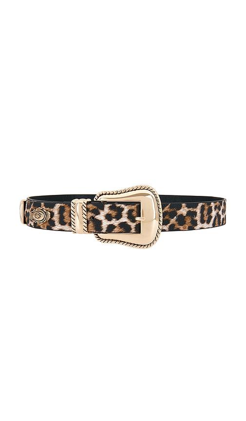 8 other reasons leopard print belt with gold detail in brown.