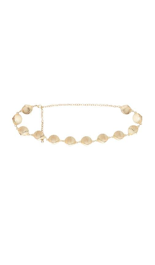 8 other reasons seashell belt in metallic gold.