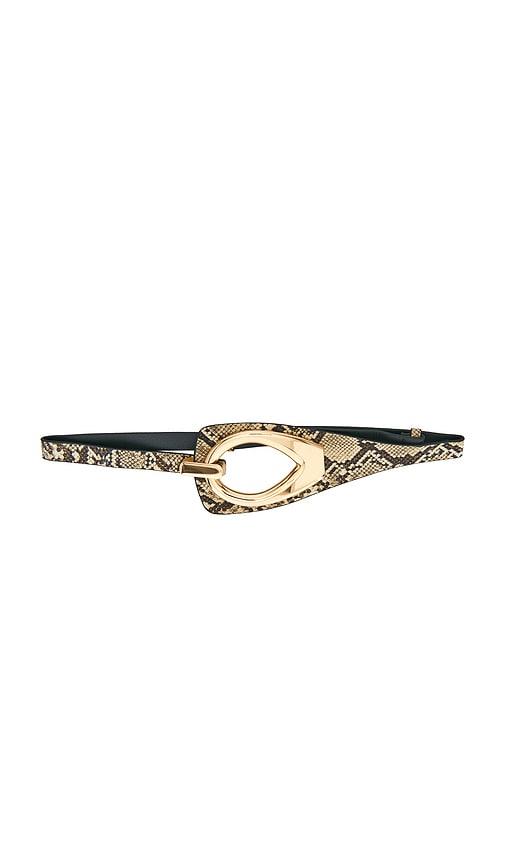 8 other reasons snake belt with gold hardware in multi.