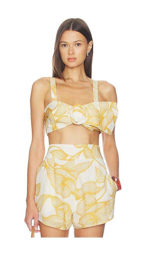 adriana degreas foliage bralette top in yellow. - size l (also in s, xs, m)