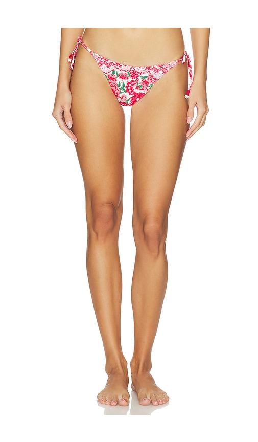 agua bendita x revolve alegria bikini bottom in rose. - size l (also in m)