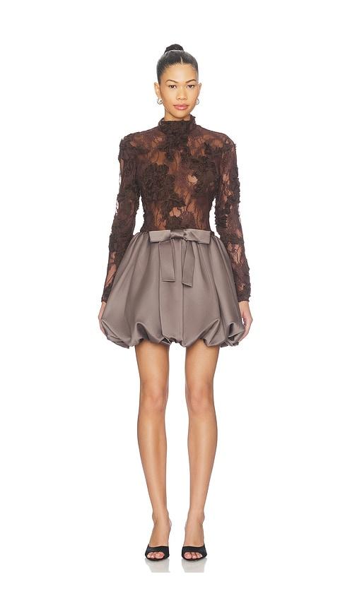 aknvas jette lace cocktail dress in brown. - size 0 (also in 10, 2, 4, 6, 8)