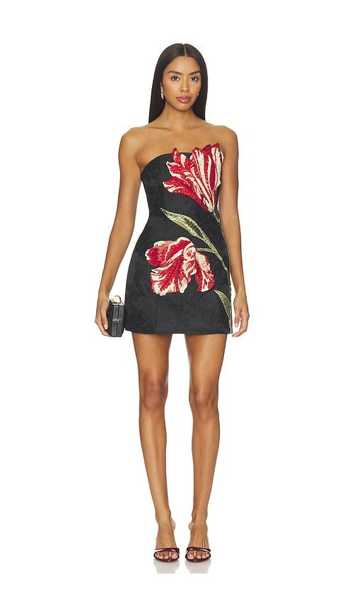 alice + olivia katia embellished strapless lantern mini dress in black. - size 0 (also in 10, 2, 4, 6, 8)