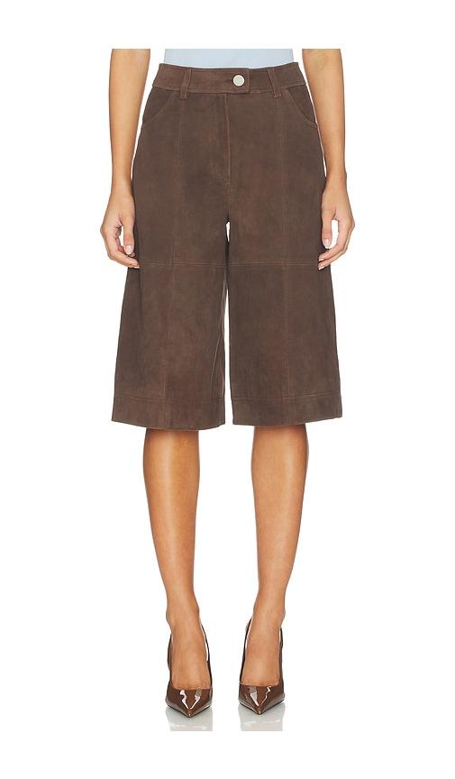 aligne arden suede culotte in brown. - size 2 (also in 4, 6, 8)