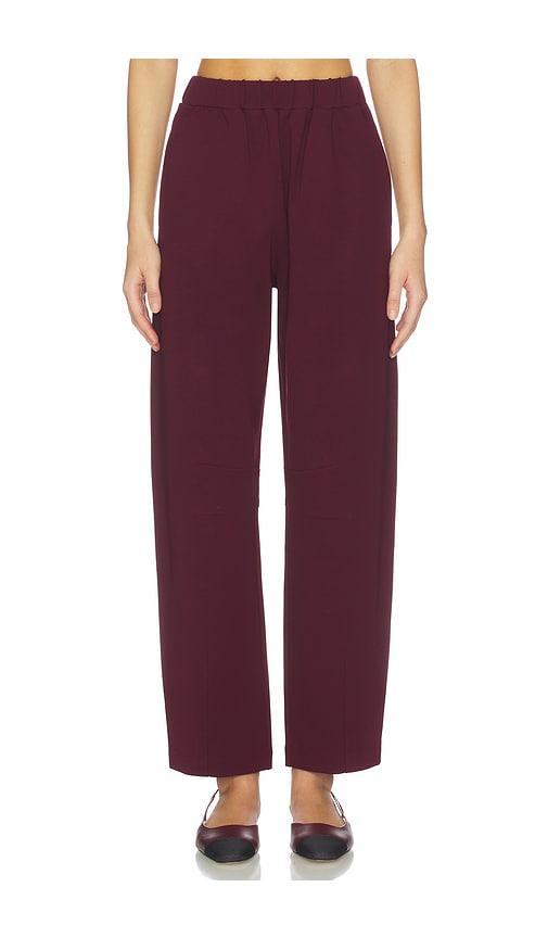 aligne markus ponte trouser in wine. - size 0 (also in 4, 2, 6, 8, 10)