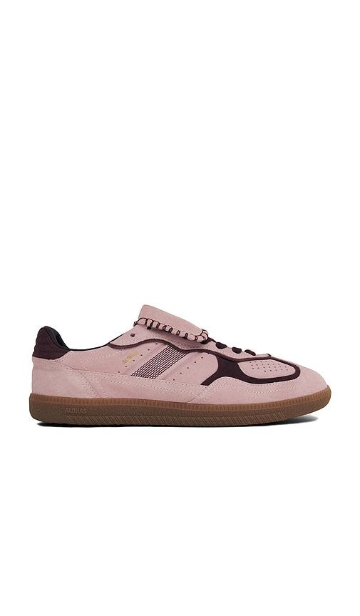 alohas tb.490 club suede sneaker in pink. - size 37 (also in 41)