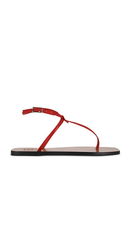 atp atelier alassio sandal in red. - size 37 (also in 38, 40)