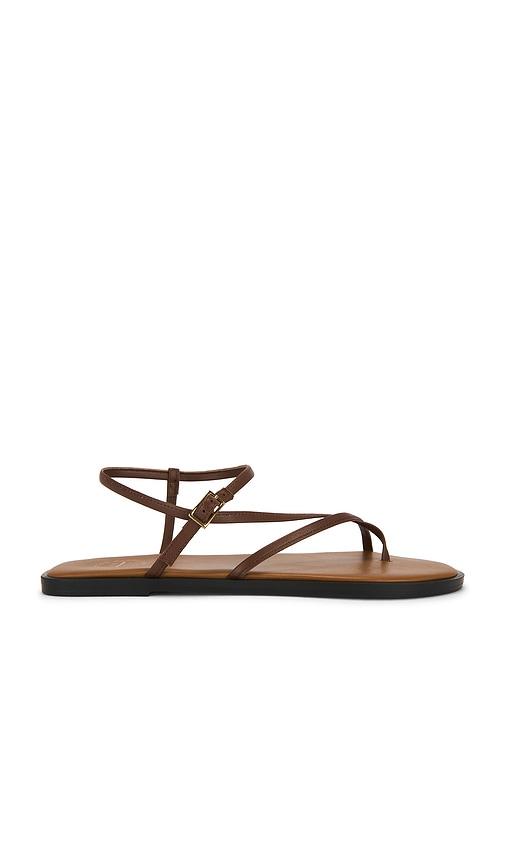 atp atelier capri sandal in brown. - size 36 (also in 37, 38, 39, 40)
