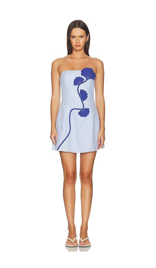azulu dante dress in blue. - size l (also in xxs, m)