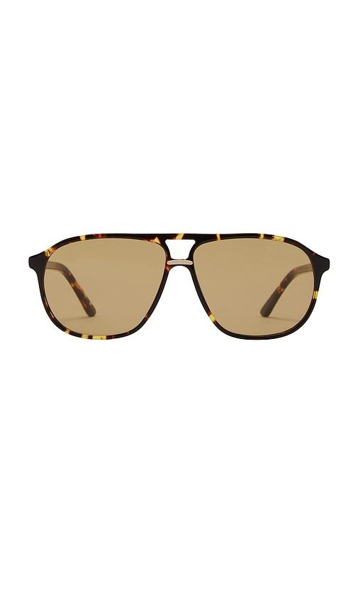 banbe the cyrus sunglasses in brown.