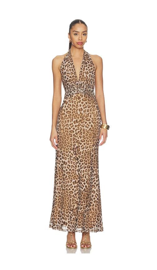 bardot elera printed mesh maxi dress in brown. - size 10 (also in 12, 2, 4, 6, 8)