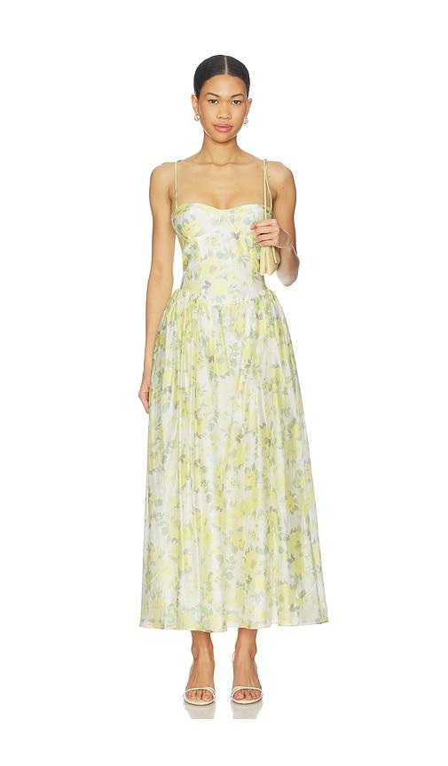 bardot estie printed maxi dress in yellow. - size 10 (also in 4, 2, 6, 8, 12)