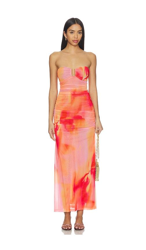 bardot stephanie printed mesh dress in pink. - size 10 (also in 4, 2, 8, 12)
