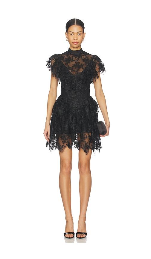 bardot tarryn ruffle lace mini dress in black. - size 2 (also in 4, 6)