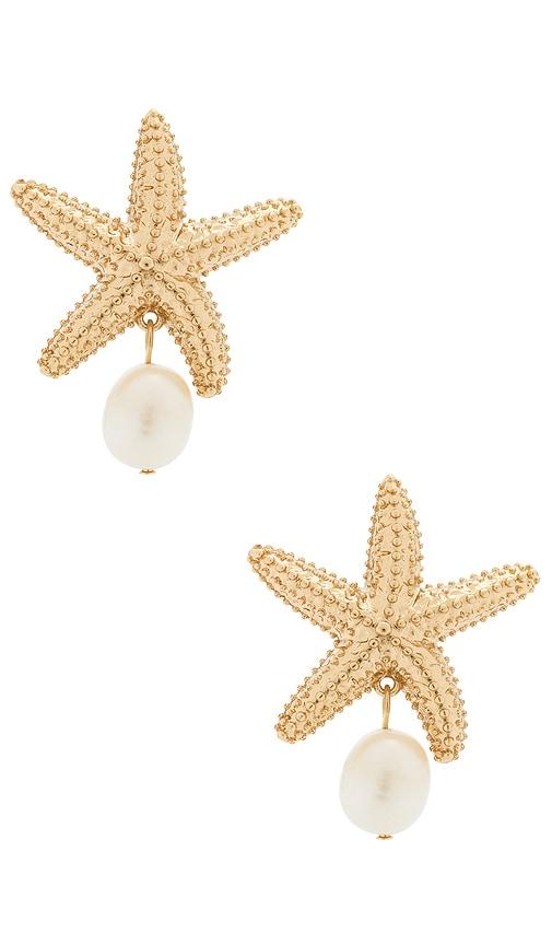 baublebar mariam shell earrings in metallic gold.
