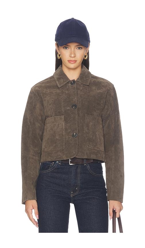 blanknyc black coffee jacket in brown. - size l (also in m, s, xs)
