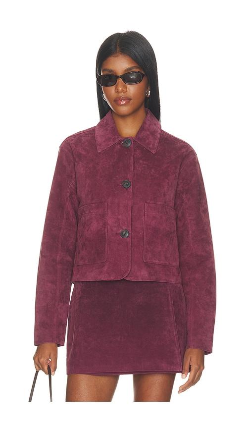 blanknyc suede jacket in wine. - size l (also in m, s, xs)