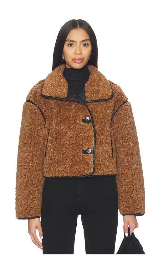 blanknyc teddy coat in brown. - size l (also in m)