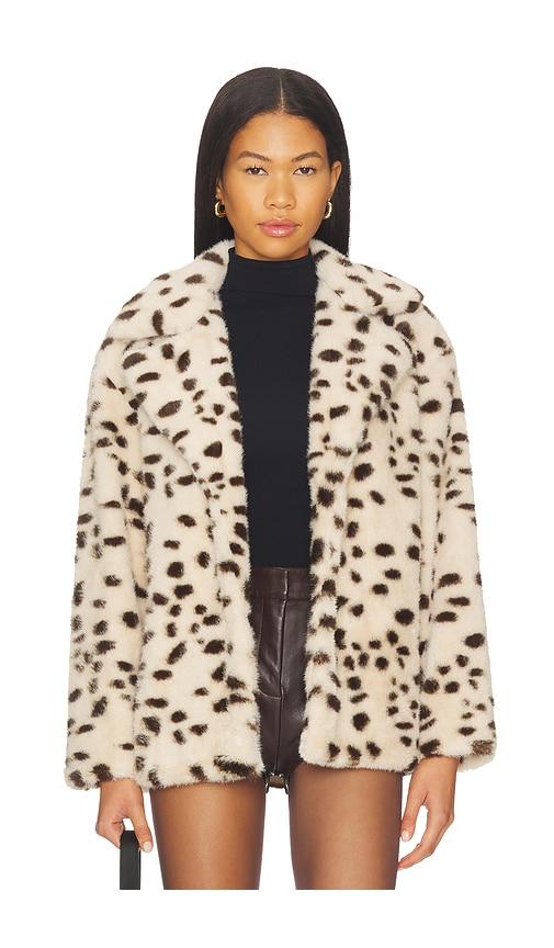 blanknyc teddy coat in brown. - size m (also in xs)