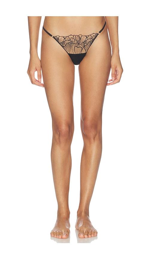 bluebella amarosa thong in black. - size xl (also in xxs, xs, xxl)
