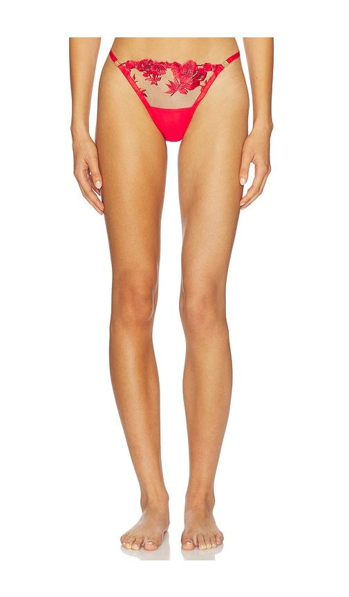 bluebella lavanya thong in red. - size s (also in xl)