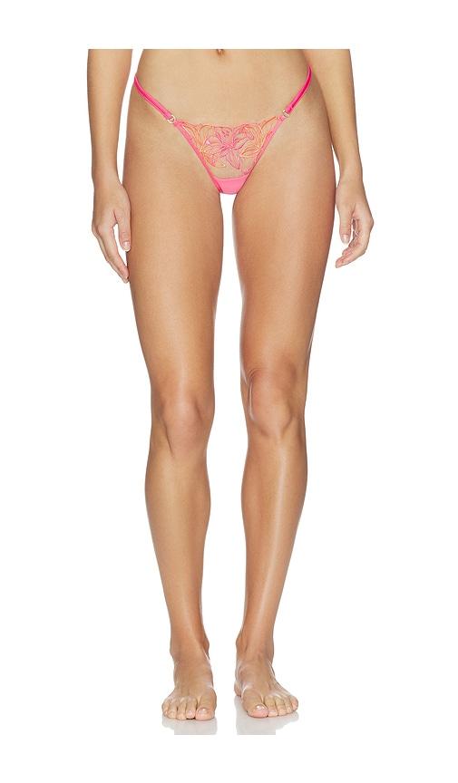 bluebella lilly thong in pink. - size l (also in m, xl, xs, xxl, xxs)