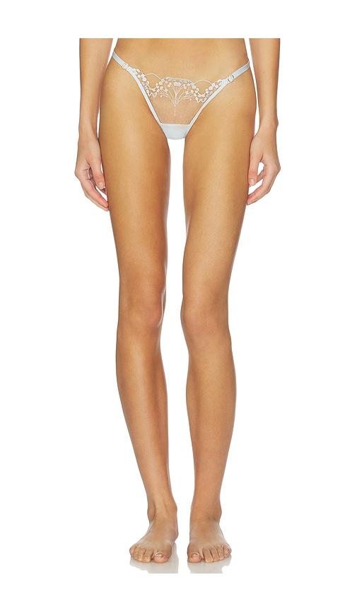bluebella marisa thong in baby blue. - size l (also in xxs, m, xl, xxl)