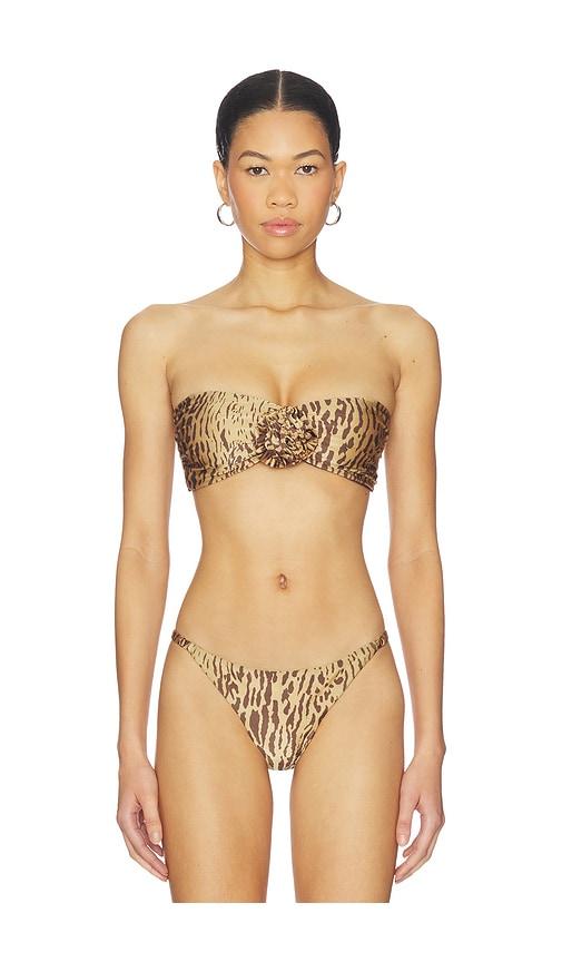 boamar makis bikini top in brown. - size l (also in m, s, xs)