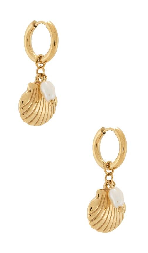 bracha cove earrings in metallic gold.