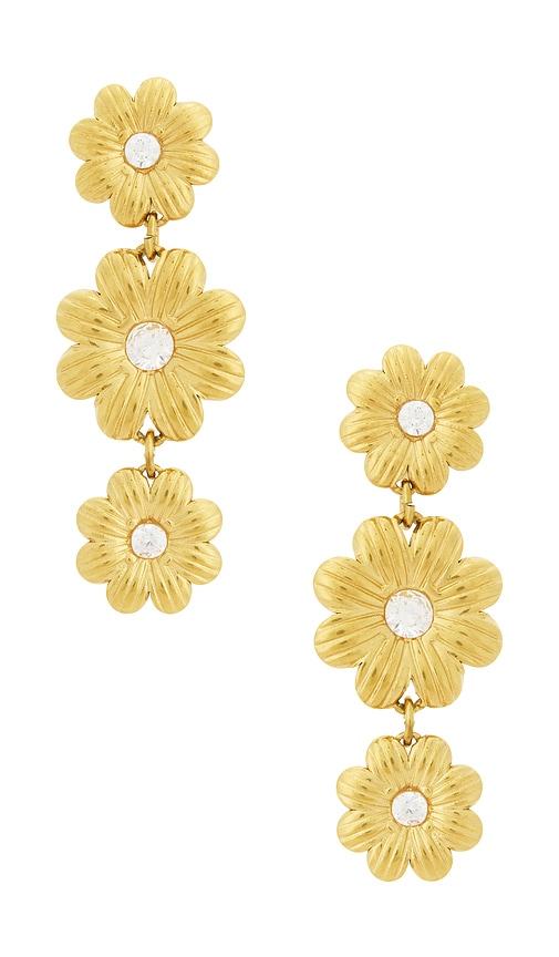bracha mya earrings in unique color & gold in metallic gold.