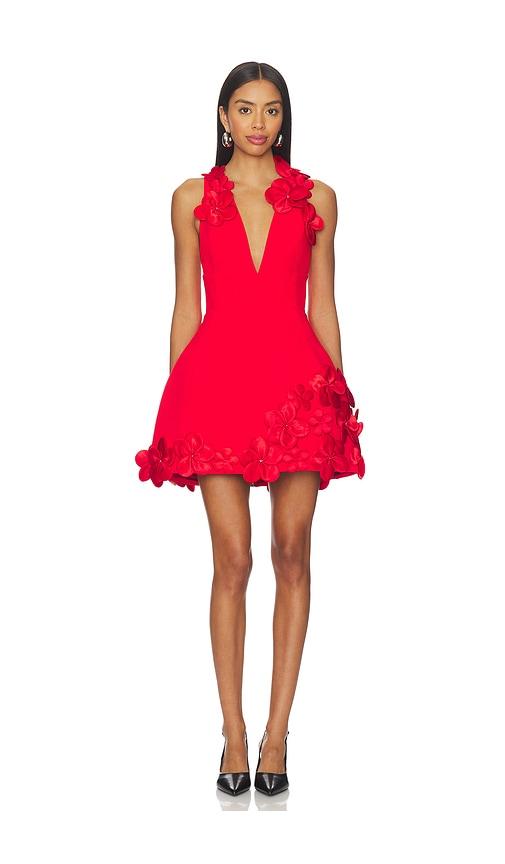 bronx banco estelle mini dress in red. - size l (also in xs, s, m)