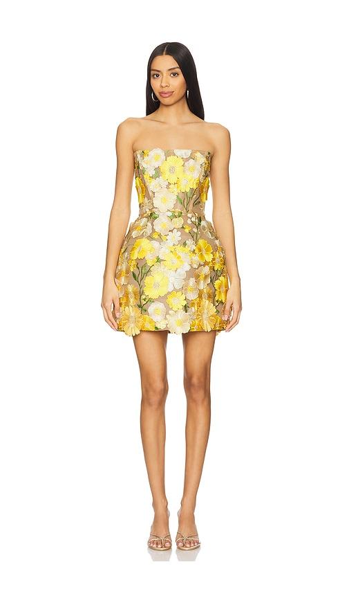 bronx banco jasmine maraya mini dress in yellow. - size m (also in xl)