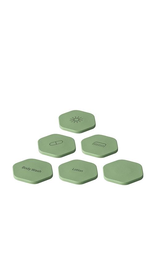 cadence set of 6 tiles in eucalyptus.
