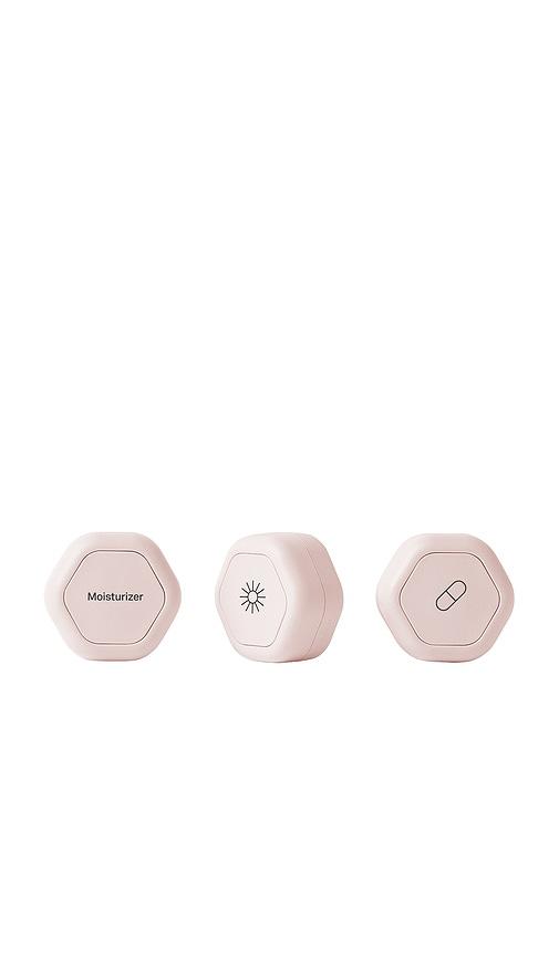 cadence the overnight essentials in petal.