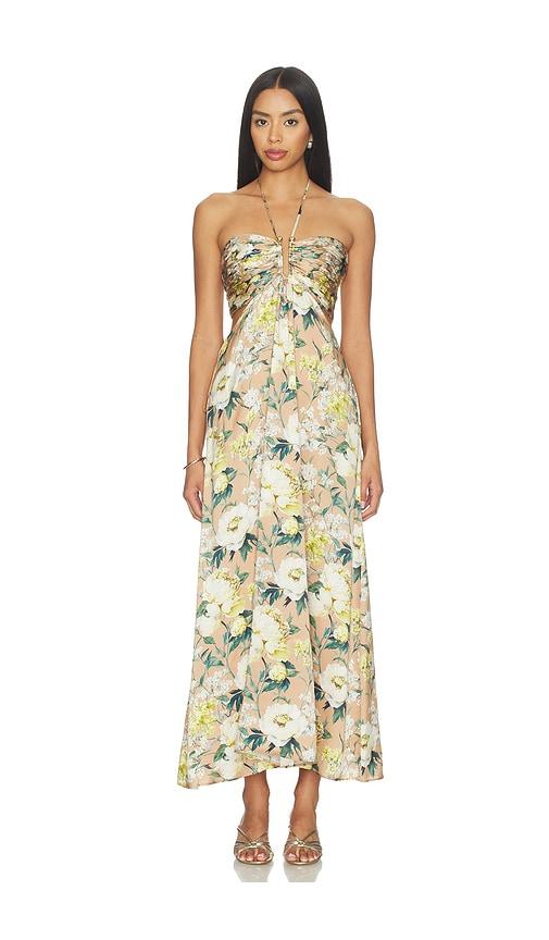 cami nyc calliope maxi dress in tan,white. - size s (also in xs, xl)