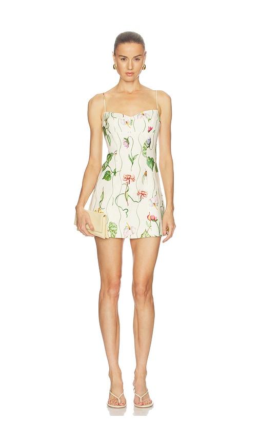 cara cara cherry mini dress in cream. - size 6 (also in 8)