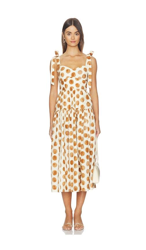 cara cara faiza dress in cream,brown. - size 0 (also in 00, 2, 4)