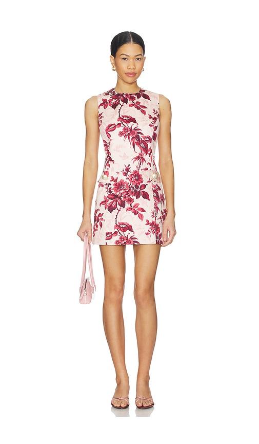 cara cara posie dress in pink. - size 2 (also in 4, 6, 8)