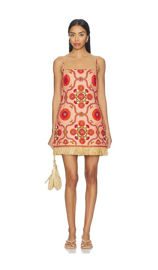 cara cara valencia mini dress in red. - size 2 (also in 6)