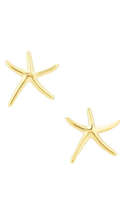 casa clara aleria stud earrings in metallic gold.