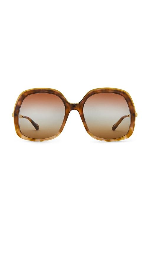 chloe aly square sunglasses in brown.