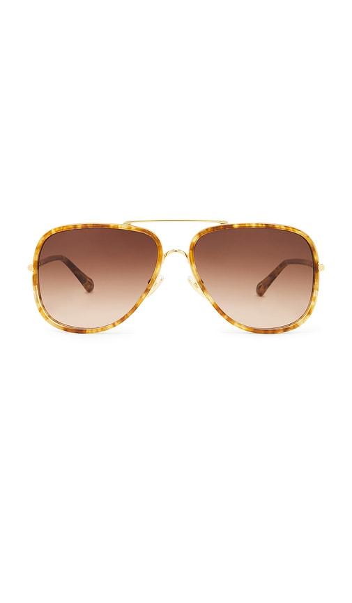 chloe tubolar sunglasses in brown.