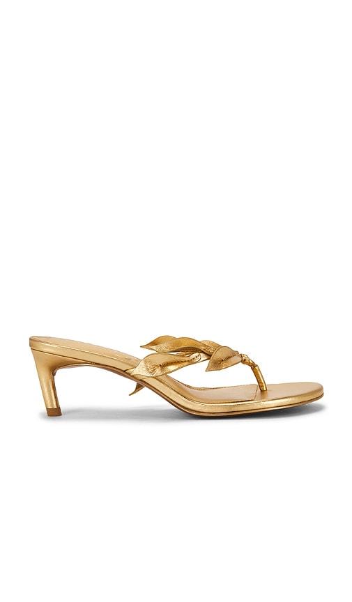 cult gaia andie sandal in metallic gold. - size 36 (also in 36.5, 38.5)