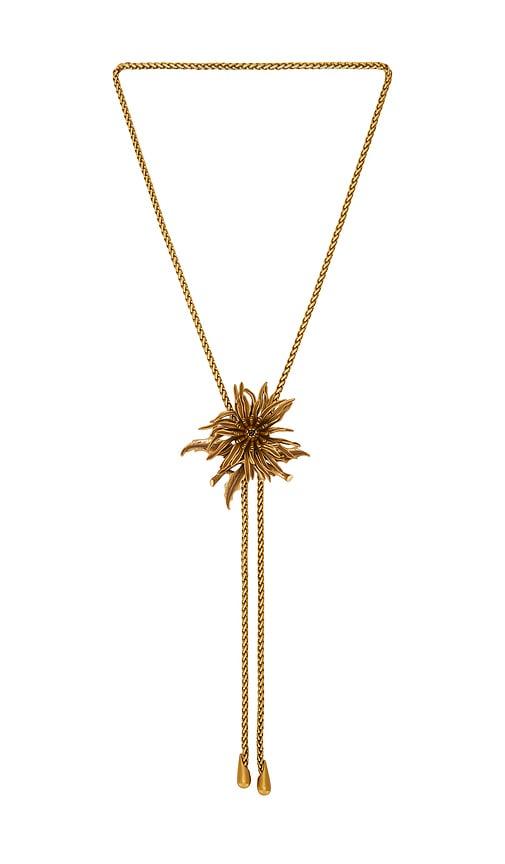 cult gaia octavia bolo necklace in metallic bronze.