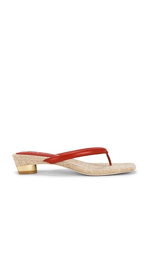 cult gaia sierra sandal in red. - size 37.5 (also in 38.5, 39)