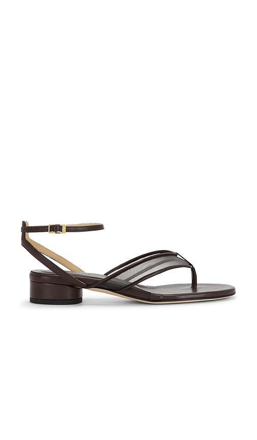 dear frances fina thong sandal in brown. - size 37 (also in 39)