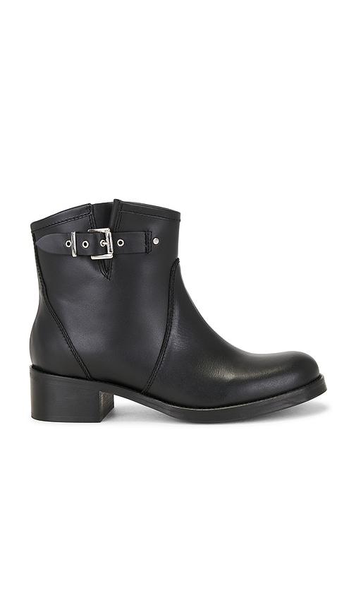 dico copenhagen hunter buckle gaucho boot in black. - size 37 (also in 38, 39, 40)