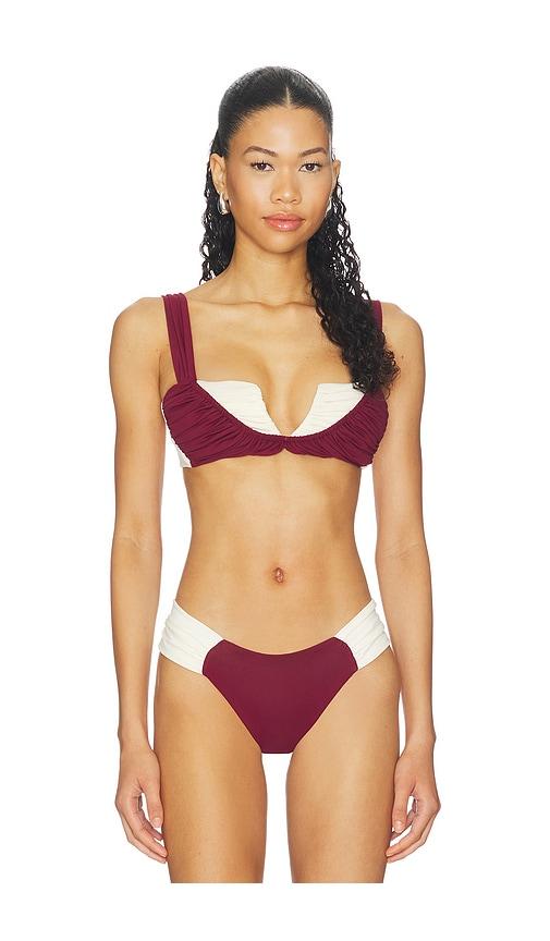 divino seas eclat bikini top in burgundy. - size m (also in s)